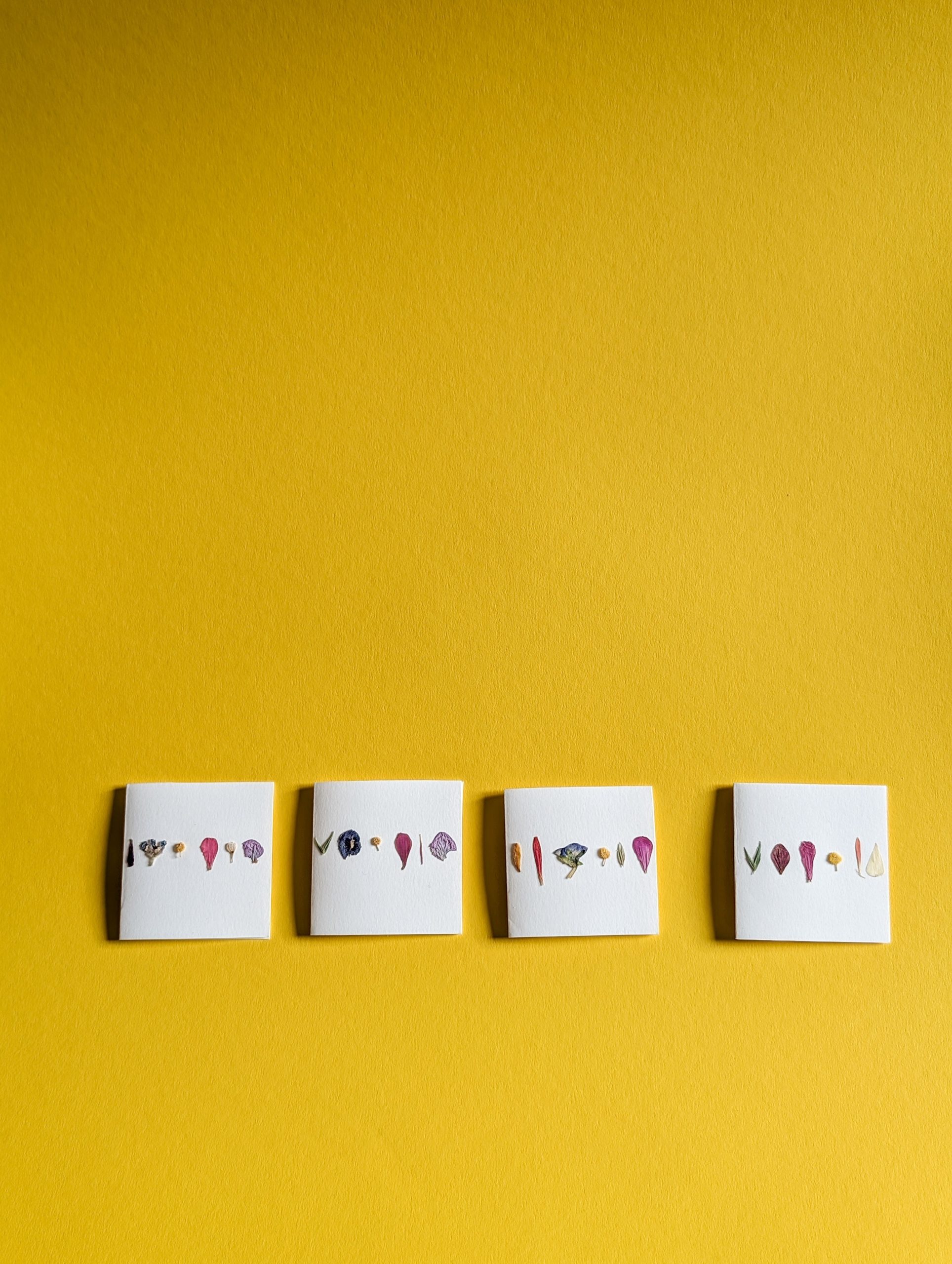 Mini-carte – Image 2