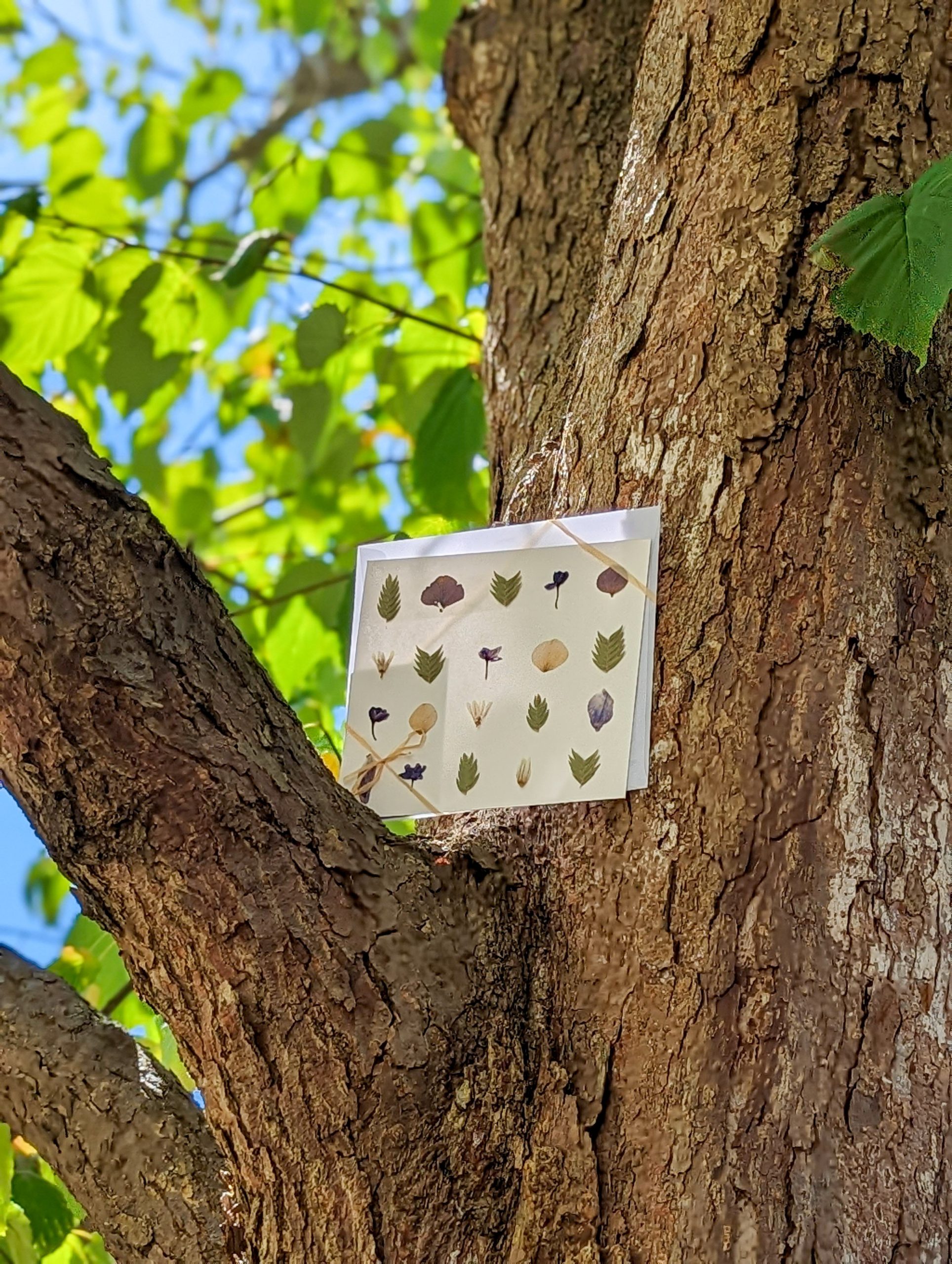 Maxi-carte – Image 2